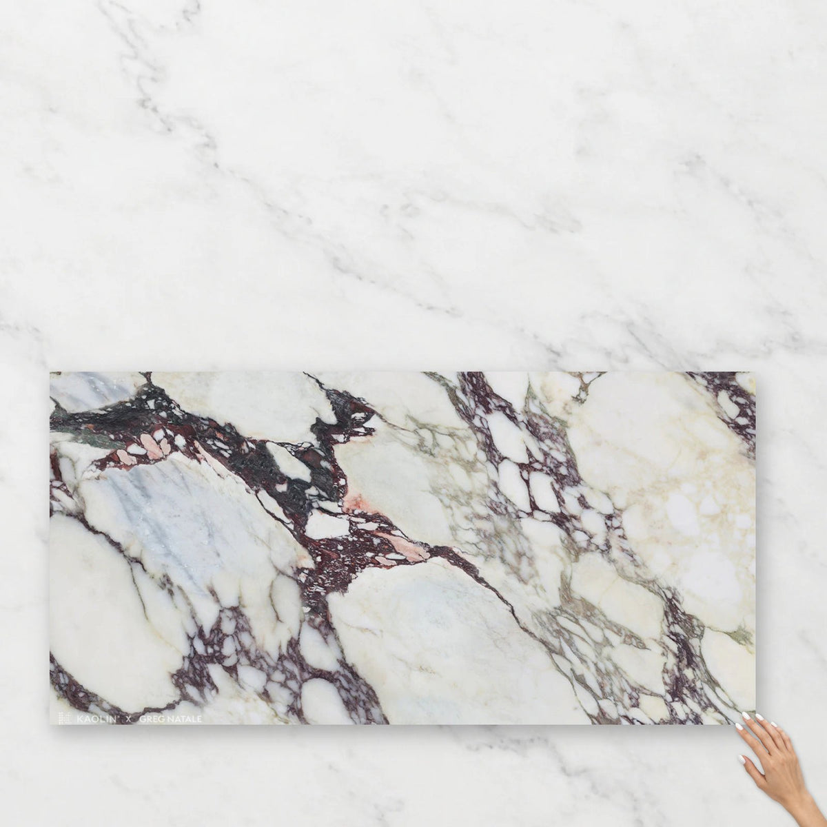 Kaolin x Greg Natale 600x1200 Calacatta Viola Silktec Porcelain Tile