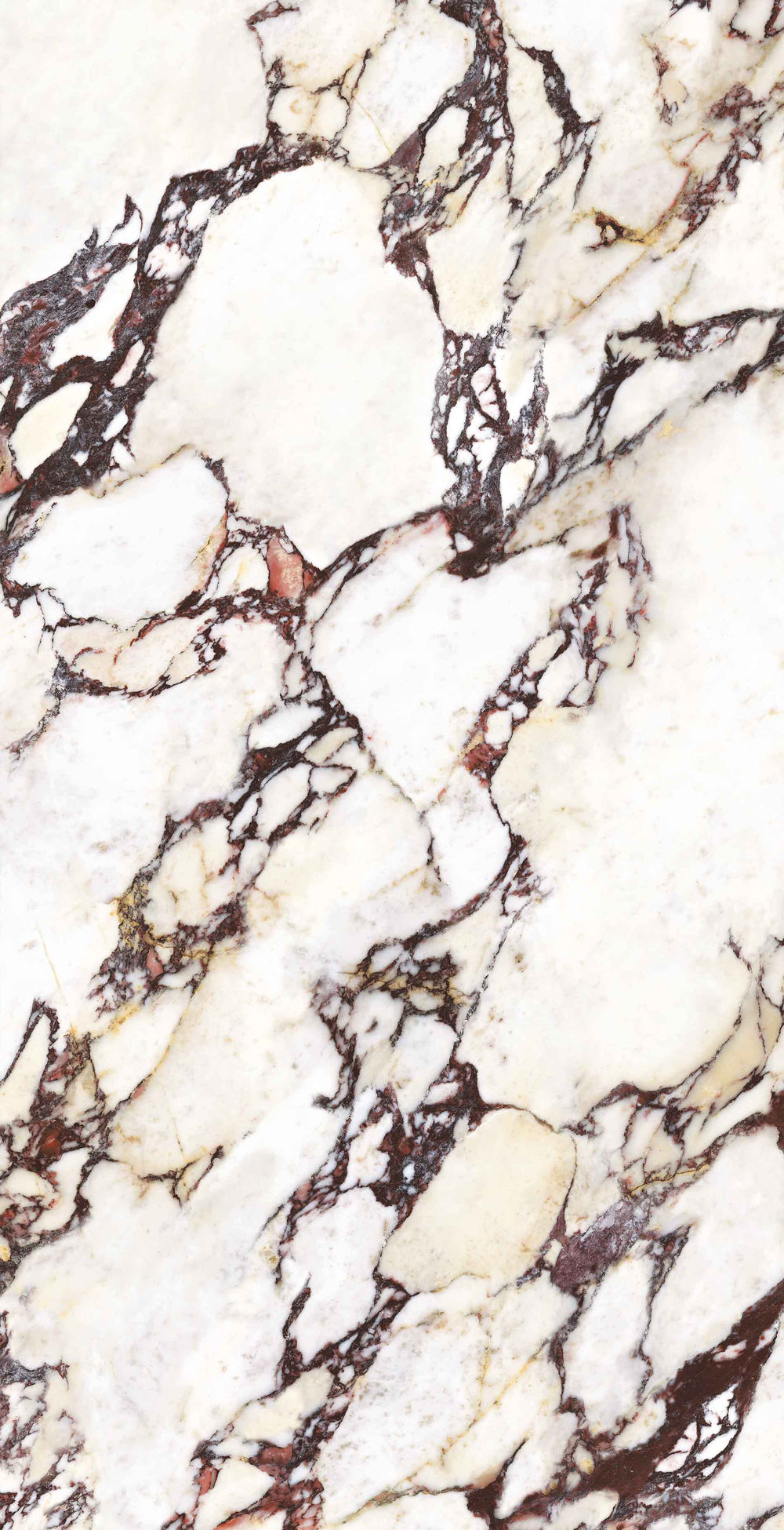 Wonderland Marble Look Tile