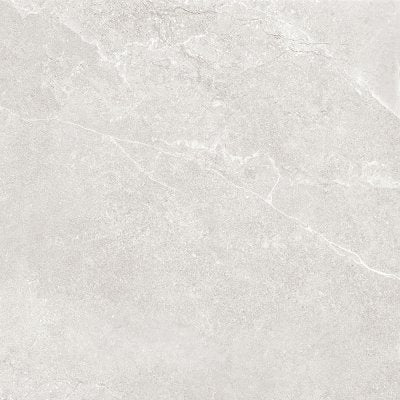 Hamilton Ice Silver SurfaceTec 600x1200