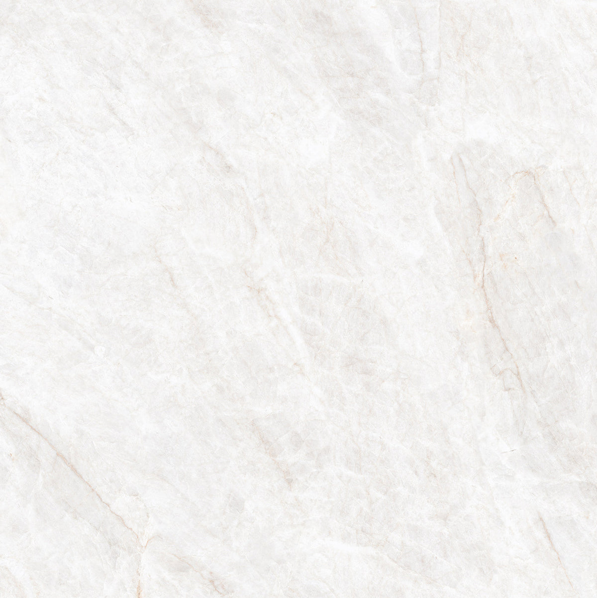 Taj Mahal Bianco SilkTec 600x600mm Marble Look Porcelain Tile