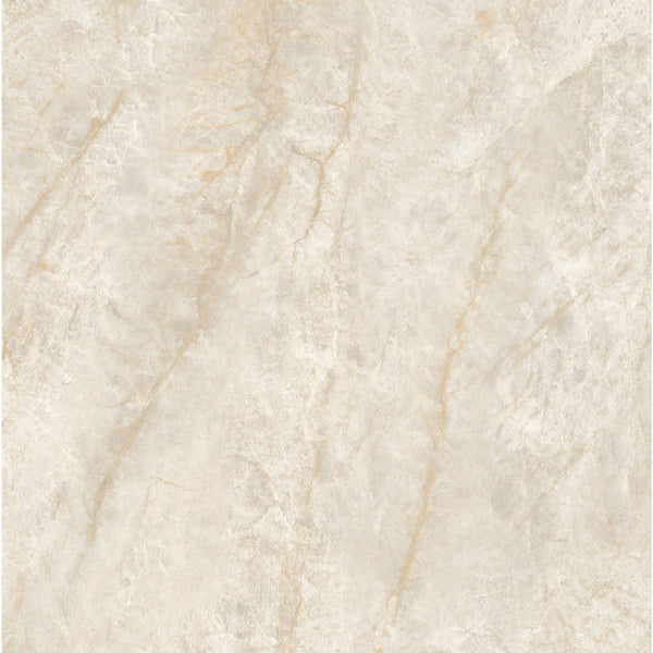 Taj Mahal Ivory SilkTec 600x600mm Marble Look Porcelain Tile