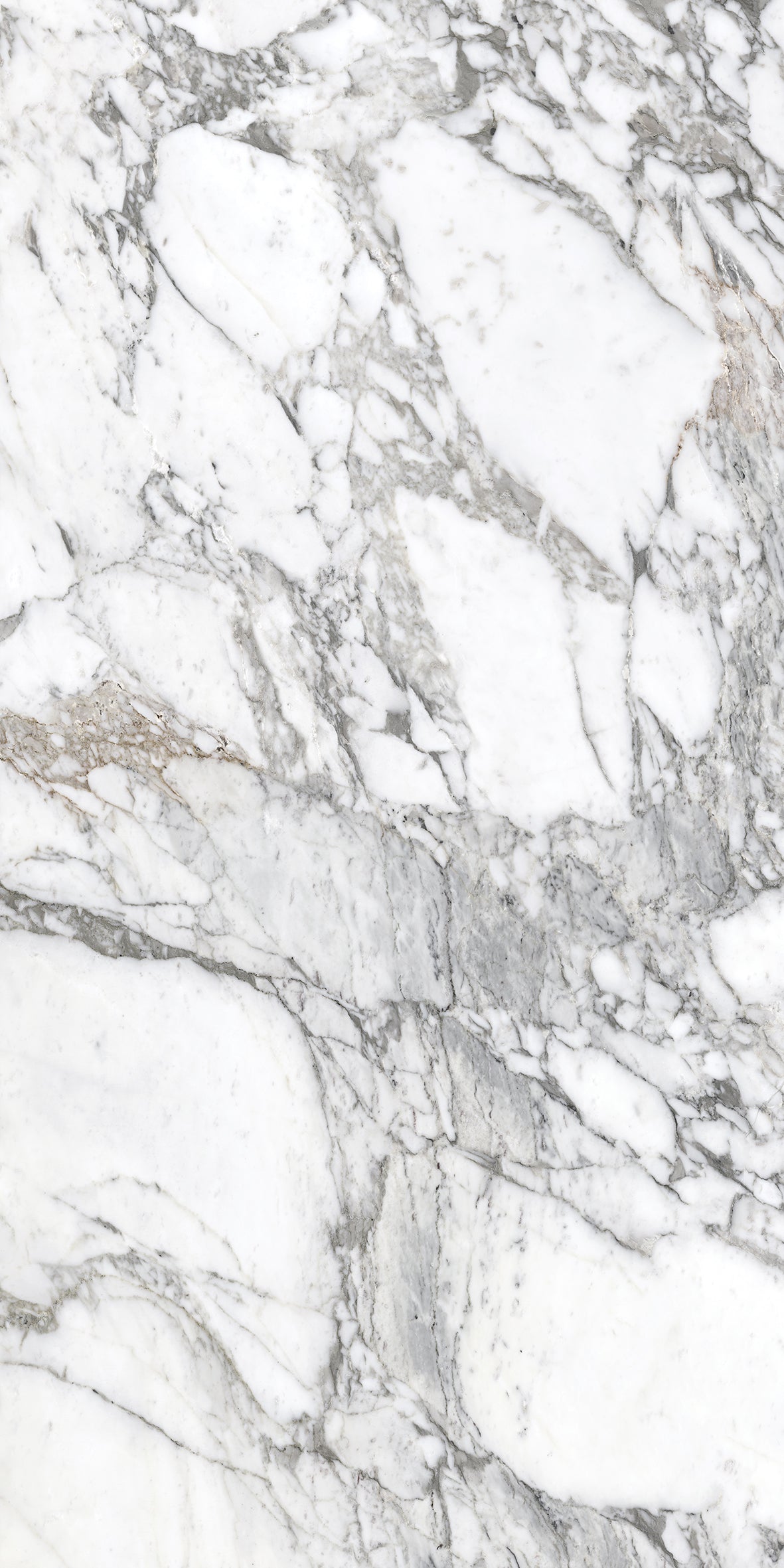 Superb Marble Arabescato 600x1200mm Marble Look Tile