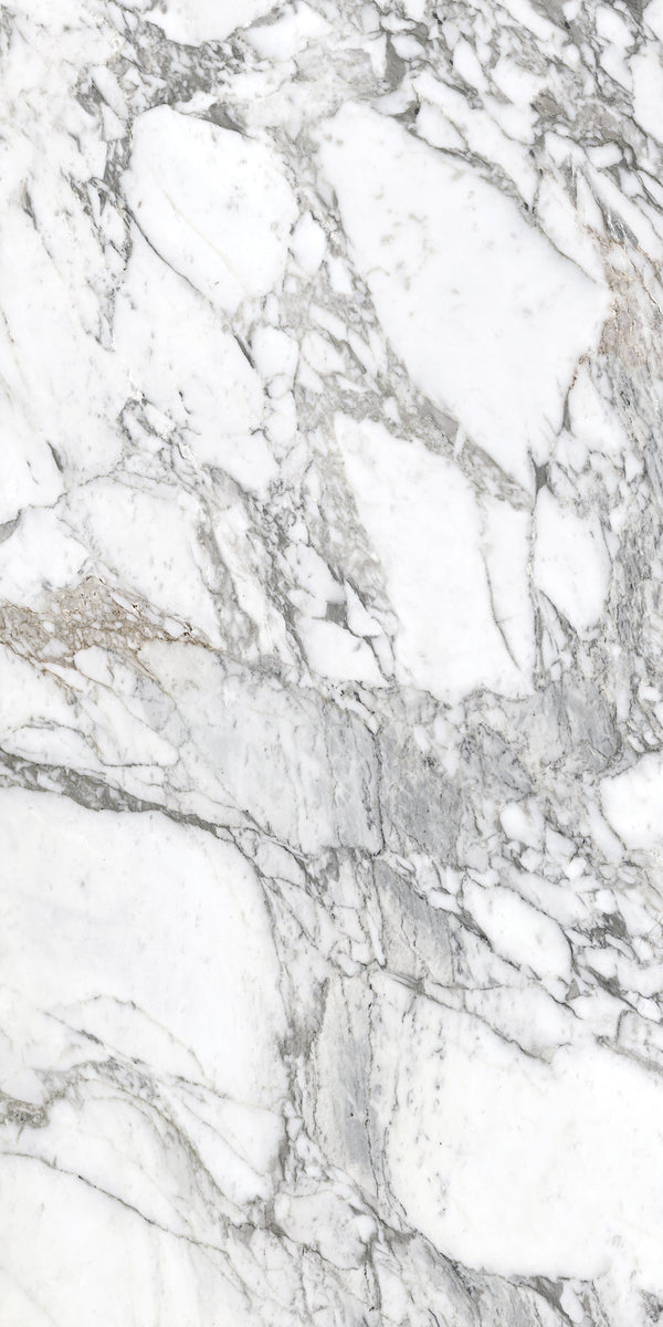 Superb Marble Arabescato 600x1200mm Marble Look Tile